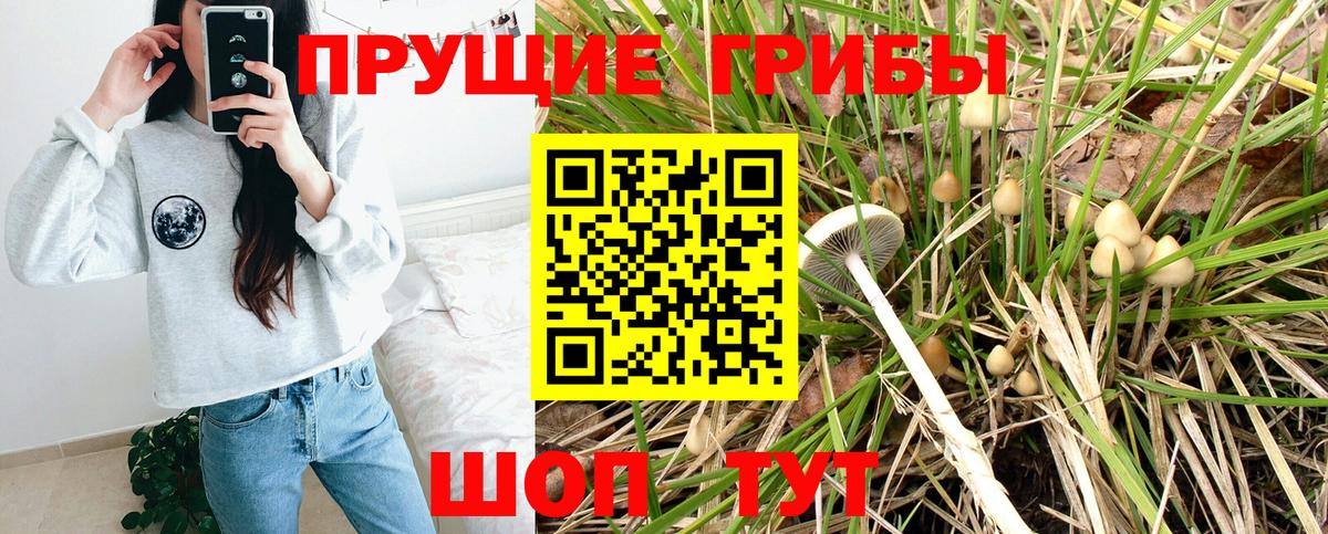 Галлюциногенные грибы GOLDEN TEACHER Калуга